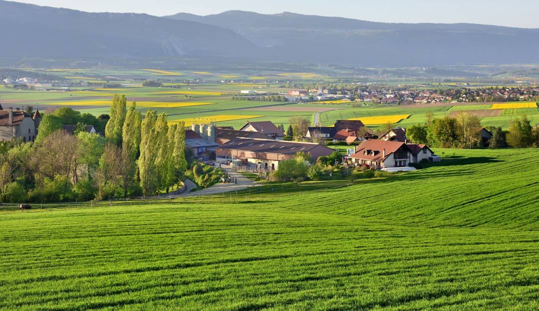 Plaine vaudoise au printemps : champs de blé et de colza, hameau et crête du Jura à l'horizon
